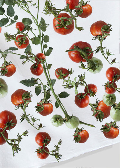 Heirloom Tomatoes From The Garden (2015806401)
