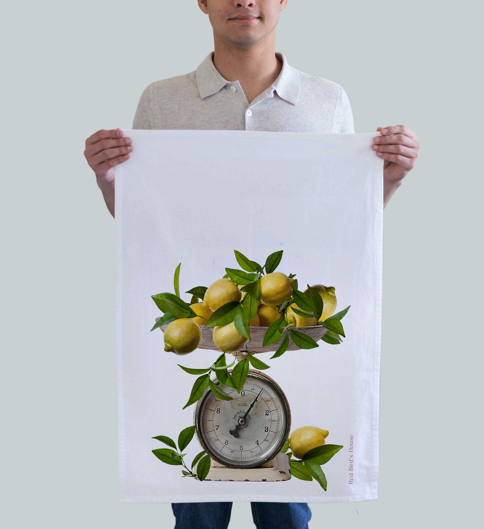 Scale with Lemons (424006893)
