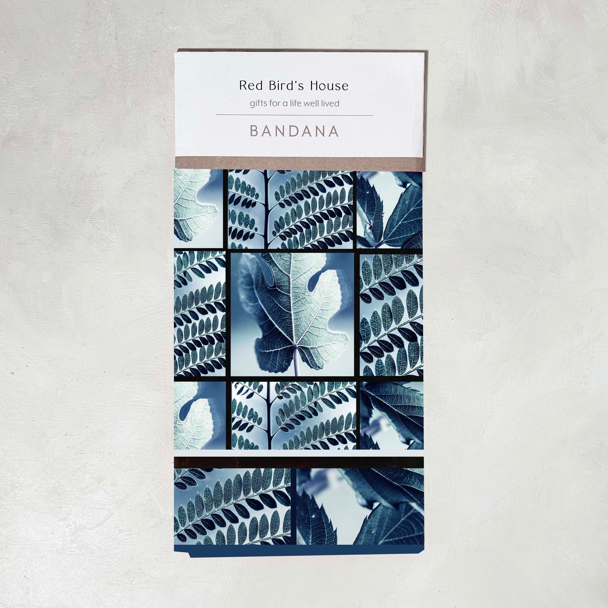 Audrie Bandana