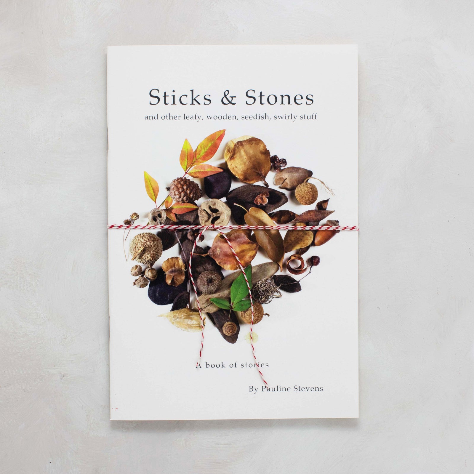 Sticks and Stones- a Booklet of Tiny Tales