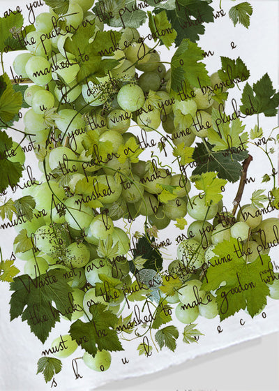 Grapevine (3732632371252)