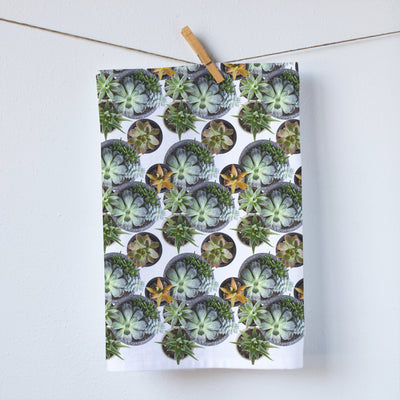 Kitchen towel prin ted with full color photography of succulents.  Cotton dish towel by red bird's house photography by Pauline Stevens (7030035054791)