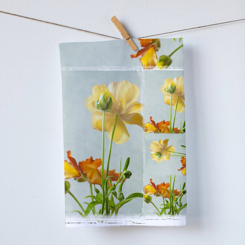 A PHOTO COLLAGE OF BEAUTIFUL YELLOW IRIS FLOWERS PRINTED ON A 18"X28"  COTTON KITCHEN TOWELS. PHOTOGRAPHY BY PAULINE STEVENS (7858090377439)