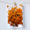 Thousands of Marigolds in a kitchen towel. Representing the herb of the sun. Great for the fall season to add that orange color into your kitchen. Photography by Pauline Stevens. Hostess Gift, 19" x 28" (1524639203380)