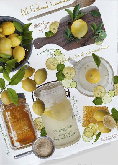 Lemonade Recipe (384383297)