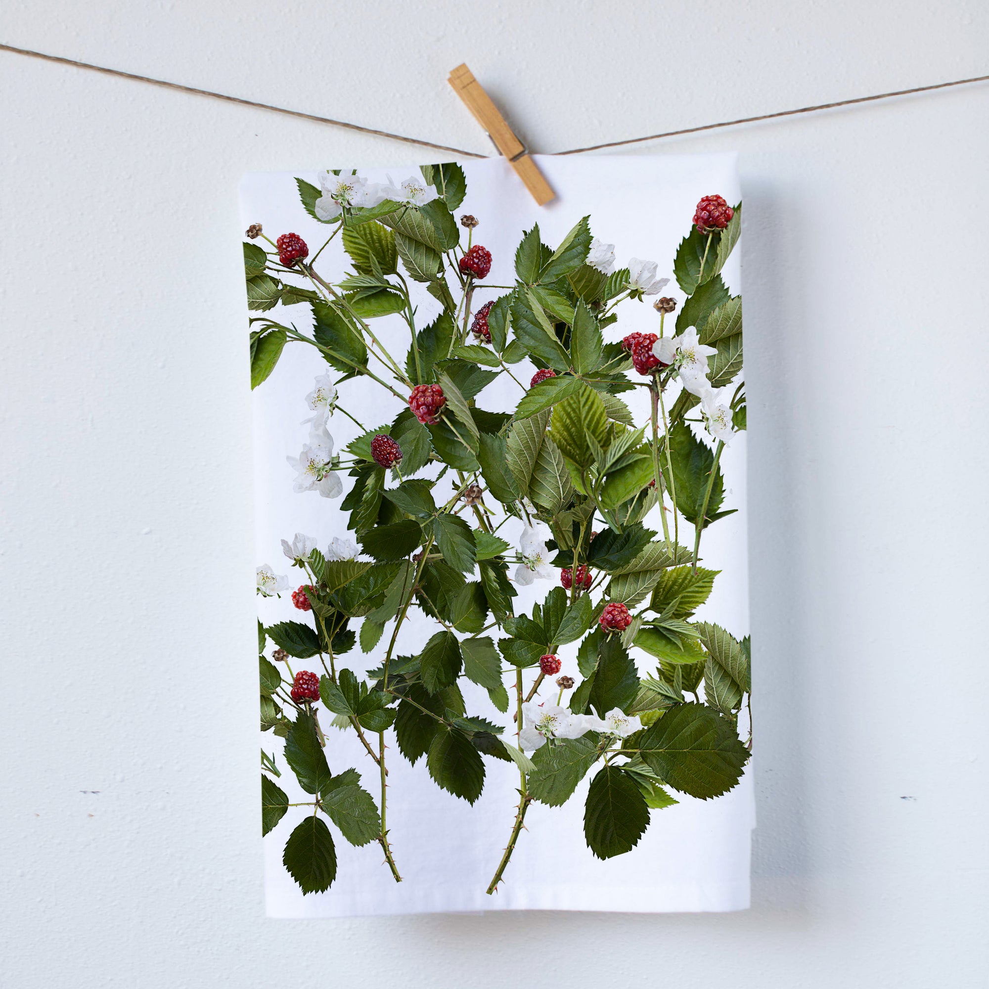 Wild Berries (464709949)