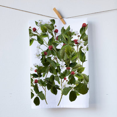 Wild Berries (464709949)