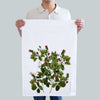 Wild Berries (464709949)