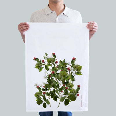 Wild Berries (464709949)
